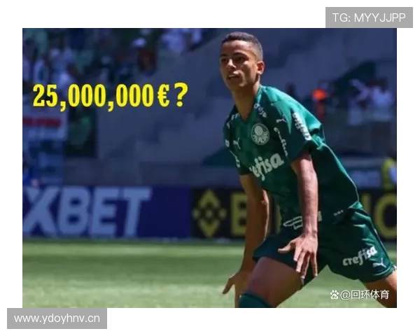 恩德里克在不同战术体系中的角色适配性分析